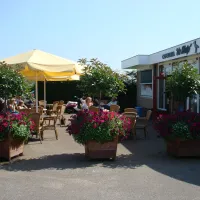 De Wulp