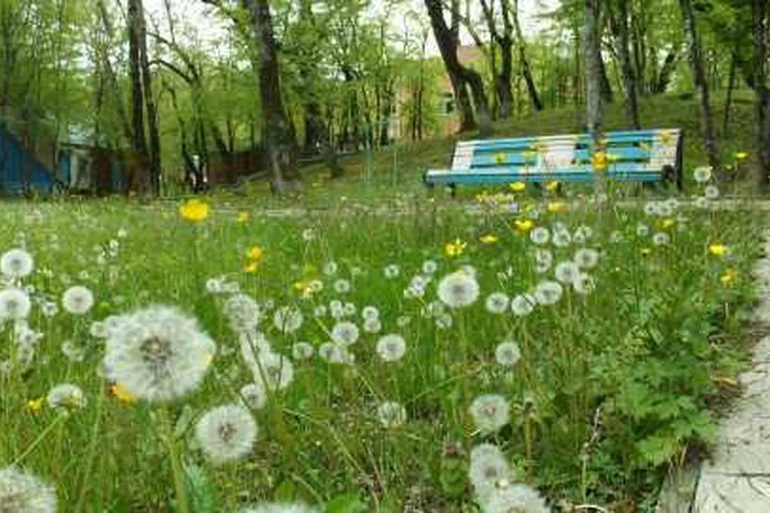 camping-na-pervom-russia-7djwf
