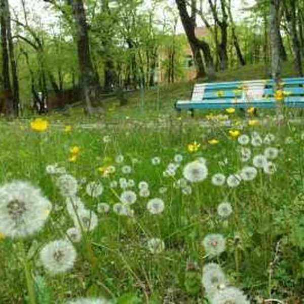 camping-na-pervom-russia-7djwf