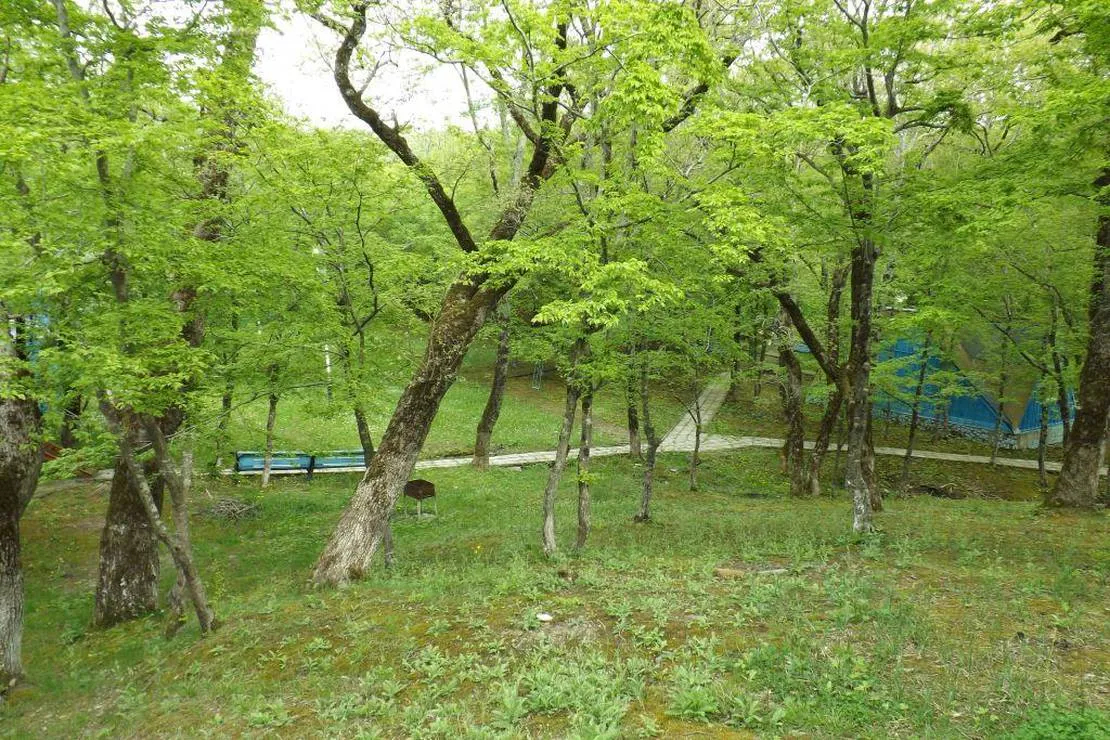 camping-na-pervom-russia-br8mr