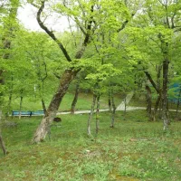 camping-na-pervom-russia-br8mr
