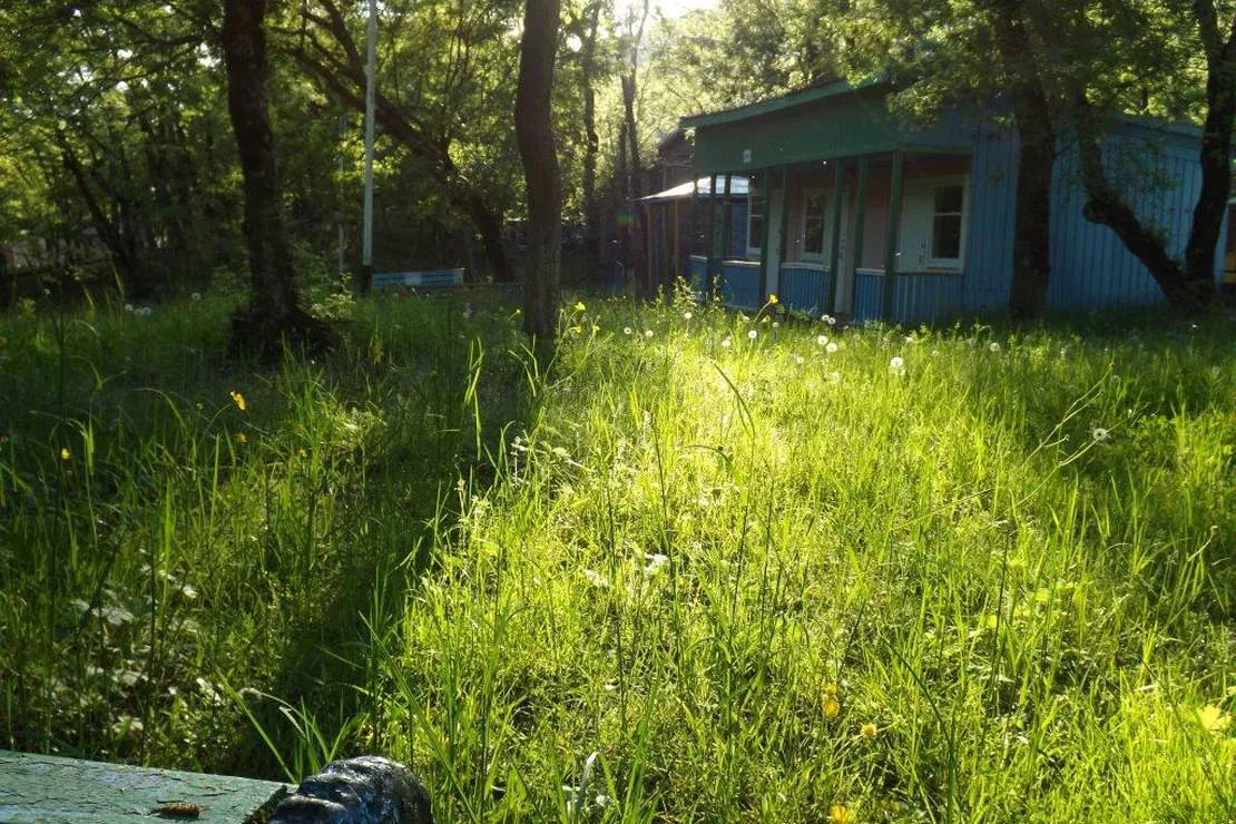 camping-na-pervom-russia-cv35v
