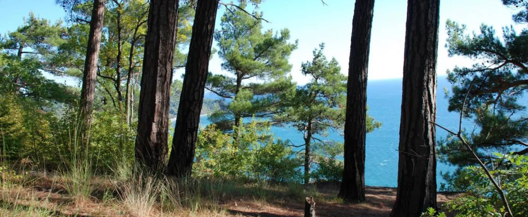 Camping Na Pervom