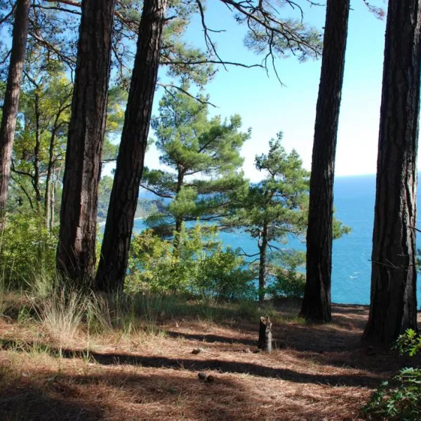 Camping Na Pervom