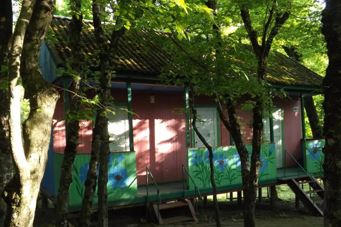 camping-na-pervom-russia-ifoqm