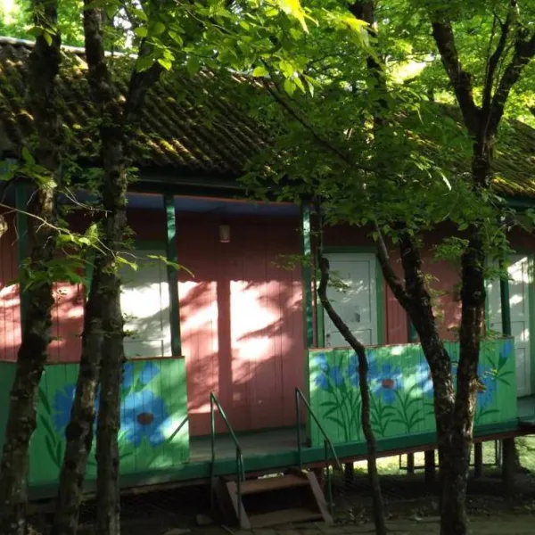 camping-na-pervom-russia-ifoqm