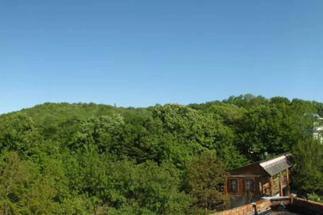 camping-na-pervom-russia-v0agn
