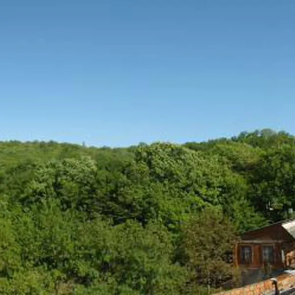 camping-na-pervom-russia-v0agn