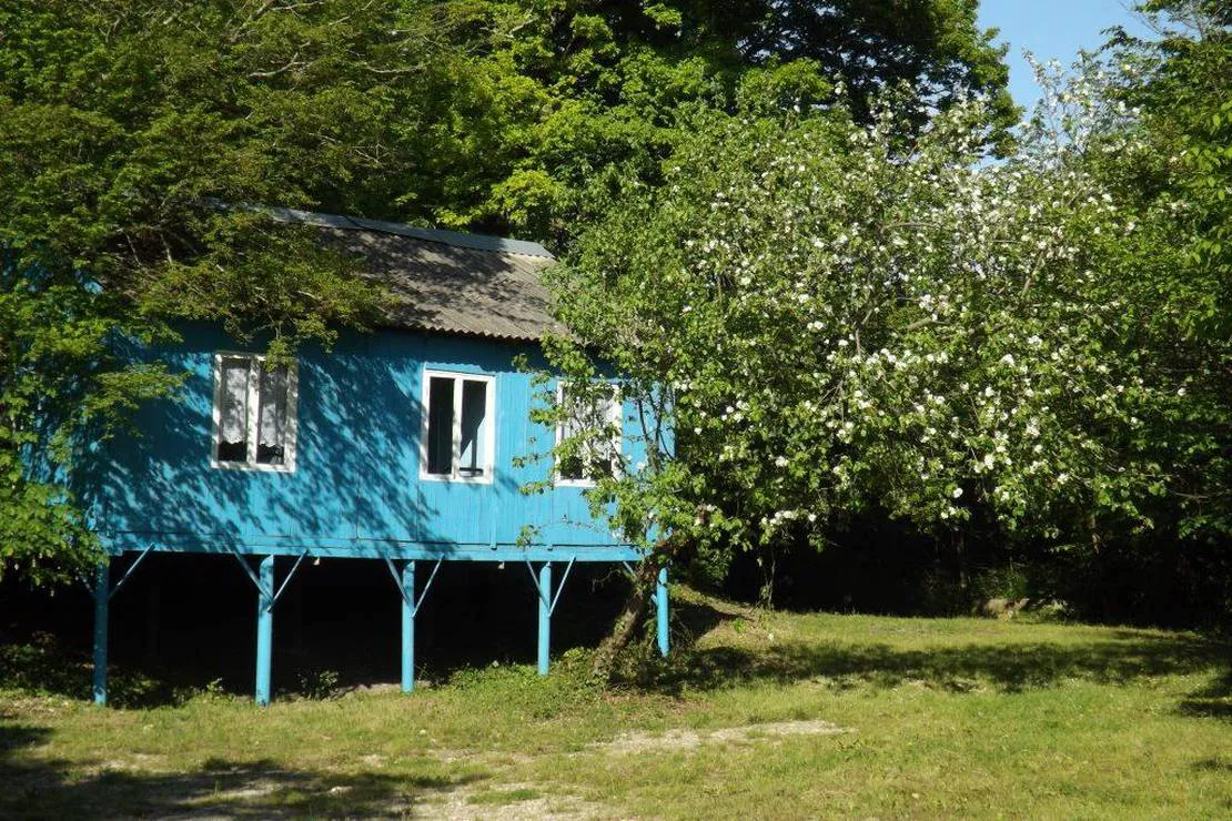 camping-na-pervom-russia-zli63