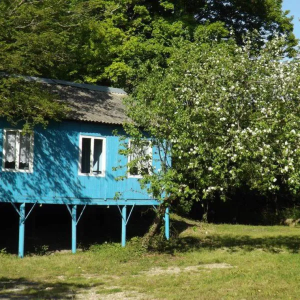 camping-na-pervom-russia-zli63