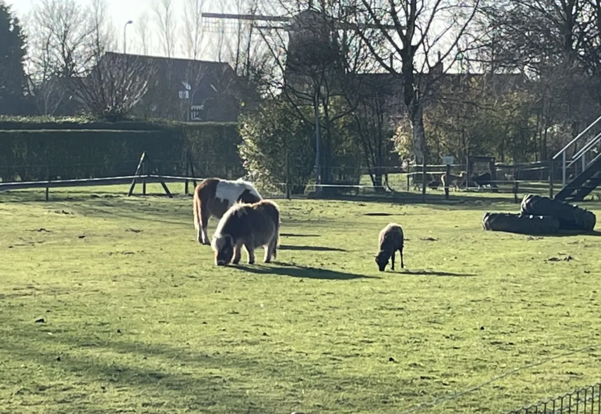 minicamping-de-catshoek-nieuwvliet-jciao