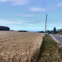 Camping Le Panoramic