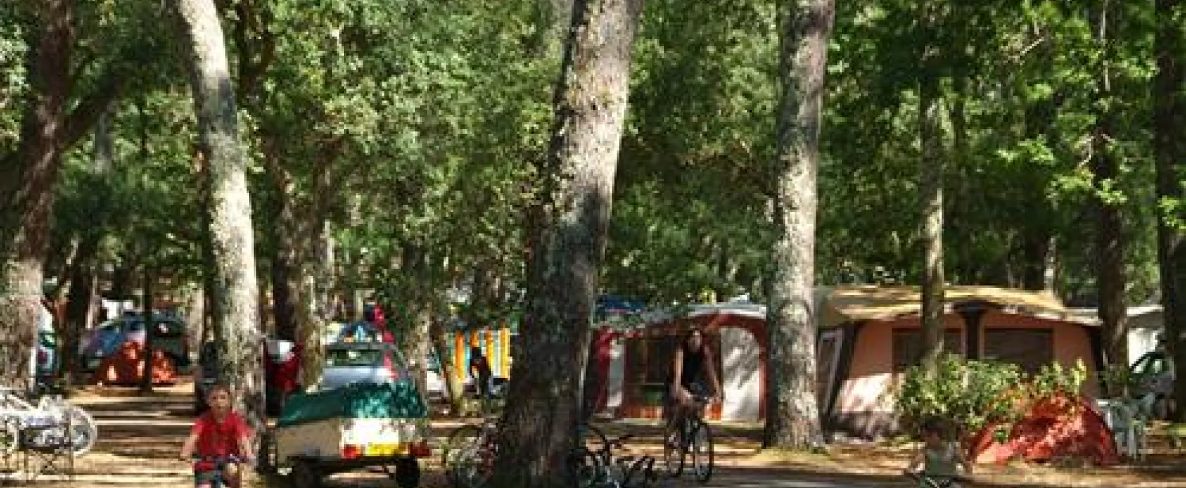 Les Chevreuils  