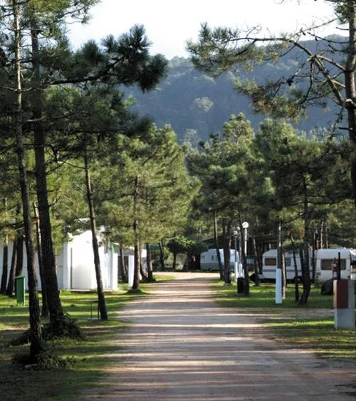 parque-de-campismo-de-quiaios-quiaios-6vaux