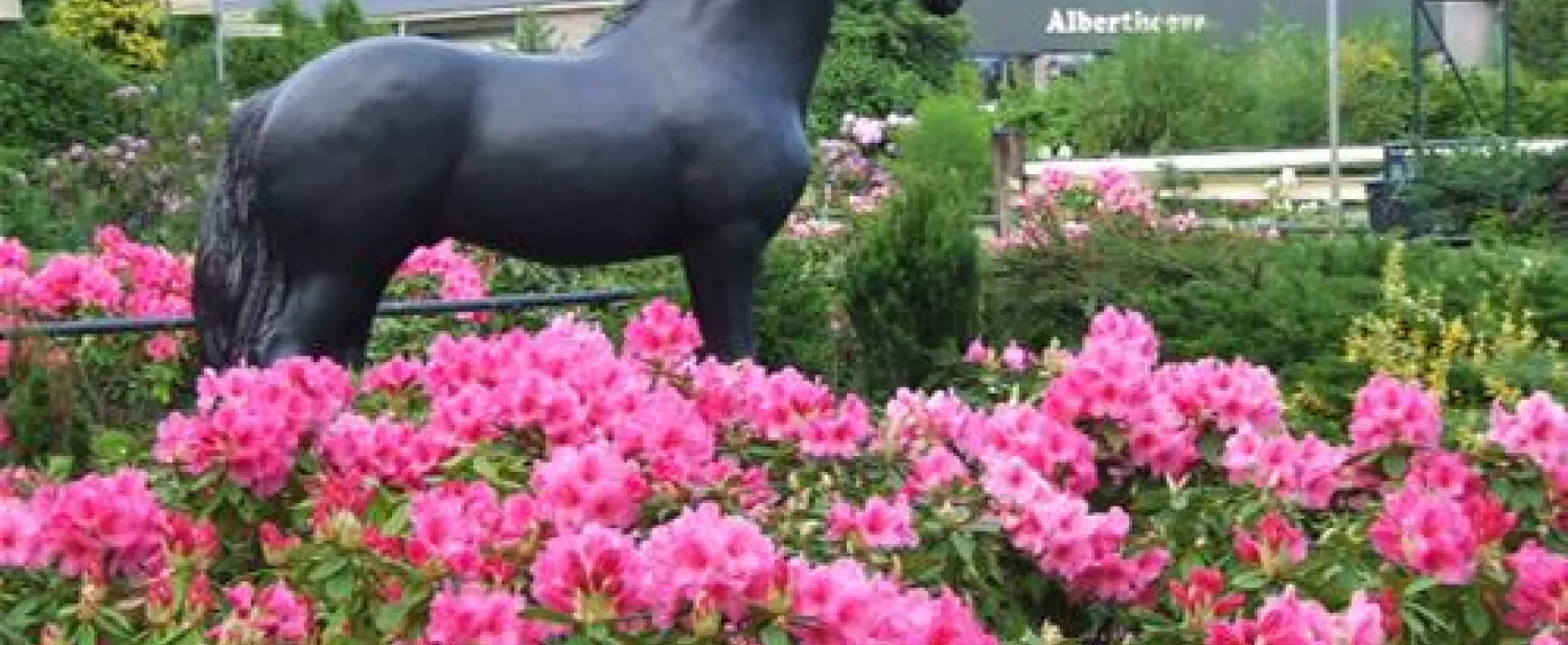 SVR-Natuurcamping de Alberthoeve