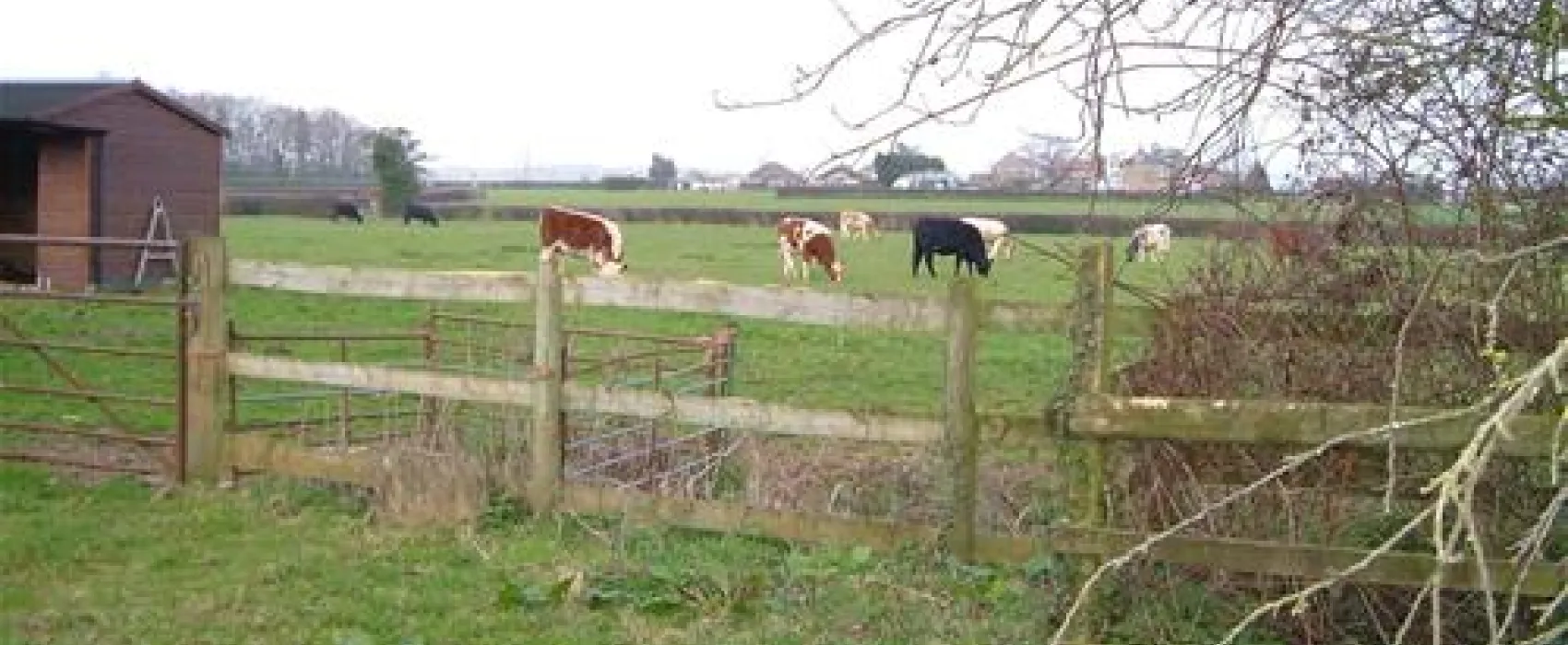 Green Hill Farm Holiday Village