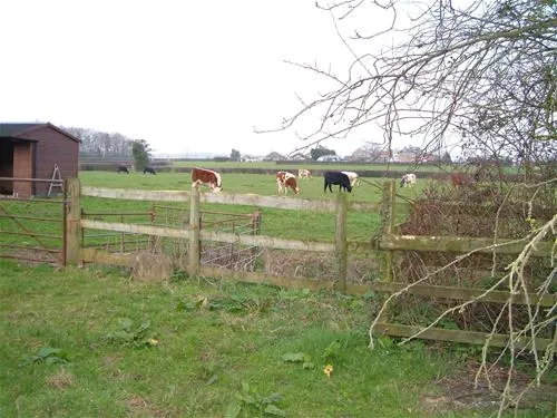 green-pastures-caravan-park-romsey-kipsj