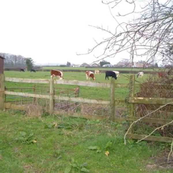 green-pastures-caravan-park-romsey-kipsj