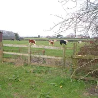 green-pastures-caravan-park-romsey-kipsj