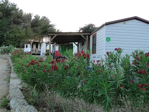 camping-jezevac-krk-zdk9s