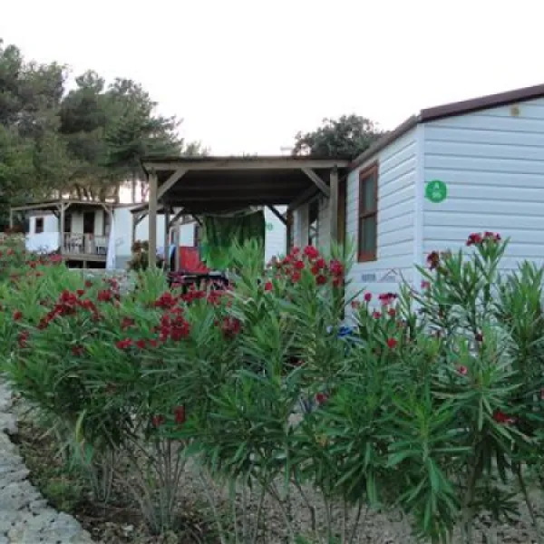 camping-jezevac-krk-zdk9s