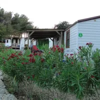 camping-jezevac-krk-zdk9s
