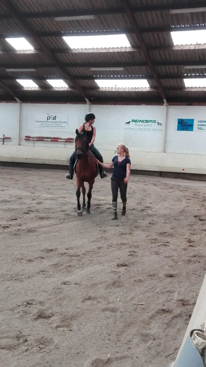 camping-manege-smit-pesse-pesse-nqul8