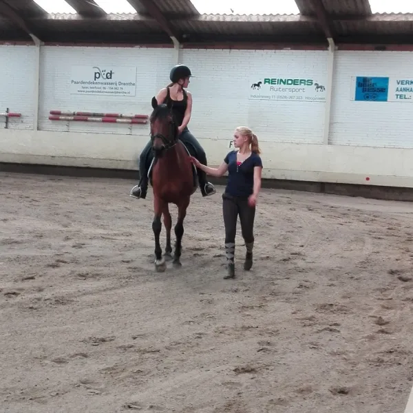 camping-manege-smit-pesse-pesse-nqul8