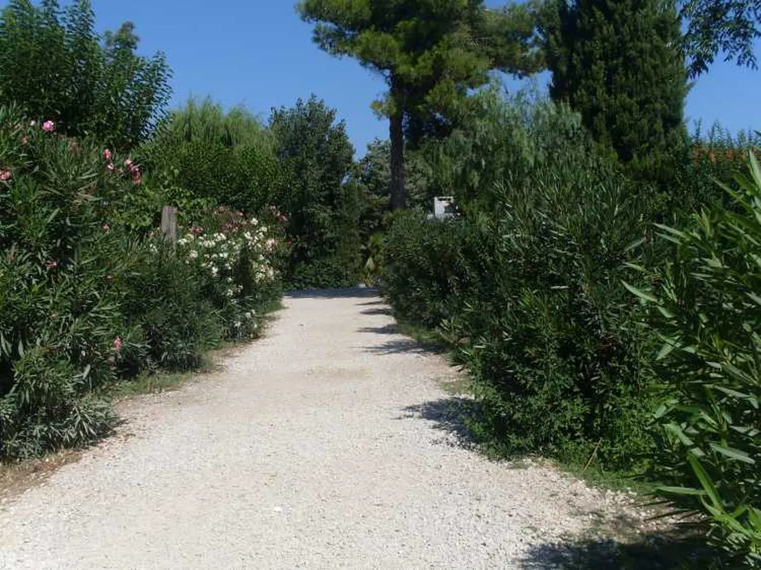camping-la-marende-argels-sur-mer-jr2ke