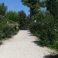 camping-la-marende-argels-sur-mer-jr2ke