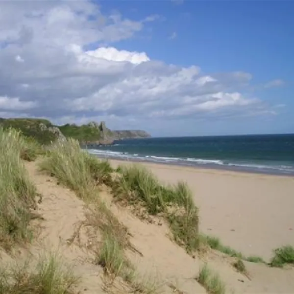 nicholaston-farm-caravan-and-camping-site-swansea-baiw0