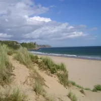 nicholaston-farm-caravan-and-camping-site-swansea-baiw0