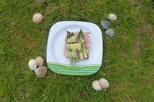 nicholaston-farm-caravan-and-camping-site-swansea-yhhji