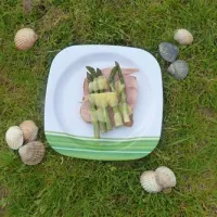 Nicholaston Farm Caravan and Camping Site