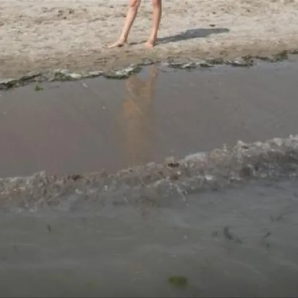 camping-oasi-sottomarina-di-chioggia-1nekq