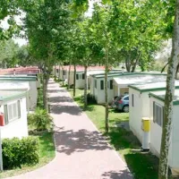 camping-oasi-sottomarina-di-chioggia-7kvlx