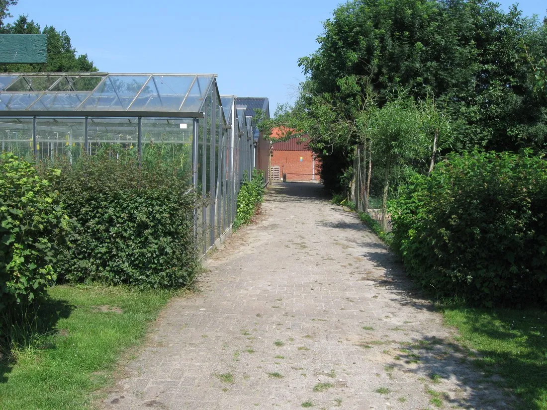 camping-de-menmoerhoeve-etten-leur-e8l6n