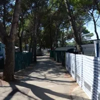 camping-pila-punat-a0ioo