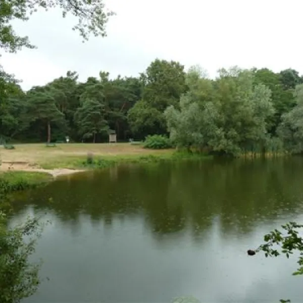 campingplatz-am-steinrodsee-grfenhausenweiterstadt-0t7ln