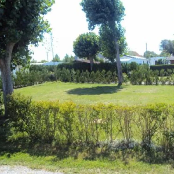 camping-la-foret-stella-plage-djchn