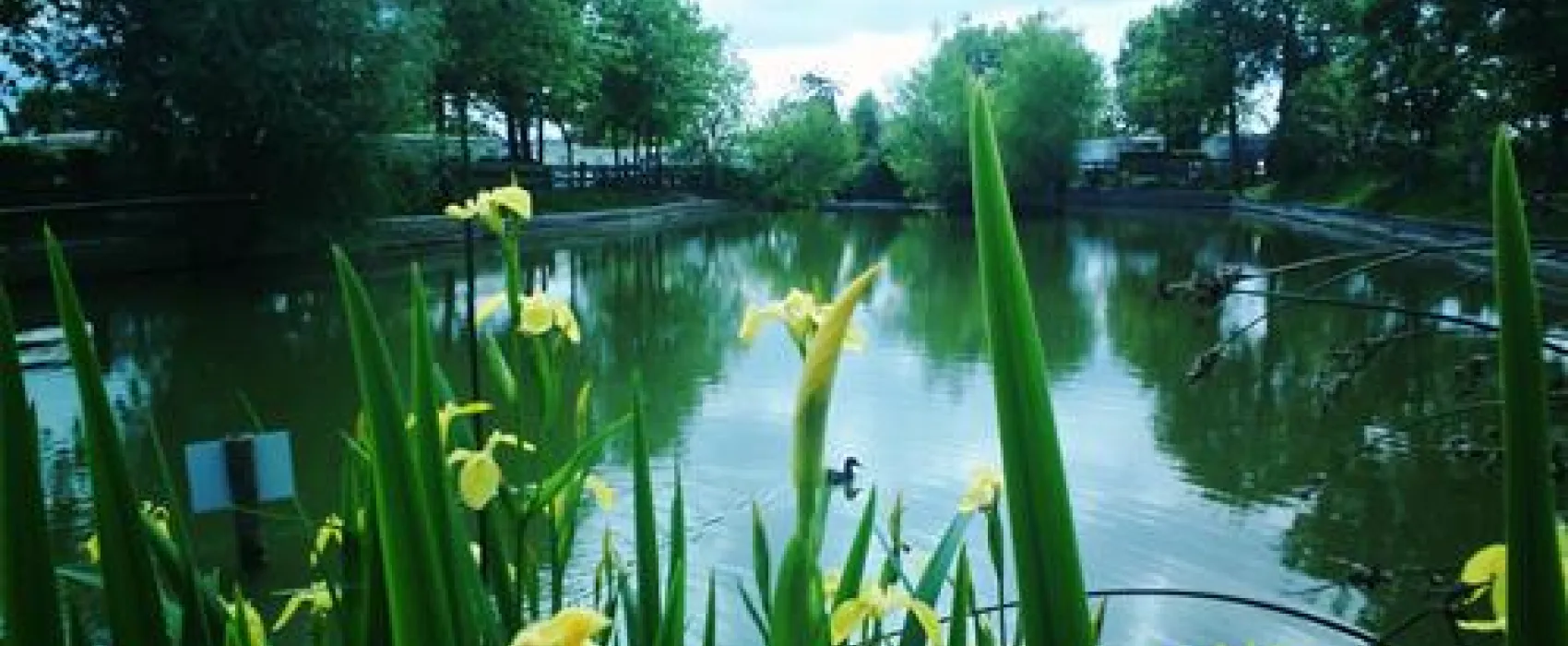 Camping La Paille-Haute