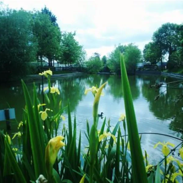 Camping La Paille-Haute