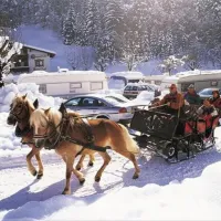 camping-seeblick-toni-kramsach-eebcv