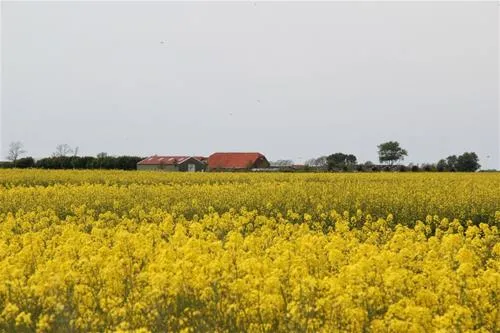 minicamping-de-strohalm-kerkwerve-6zvy2