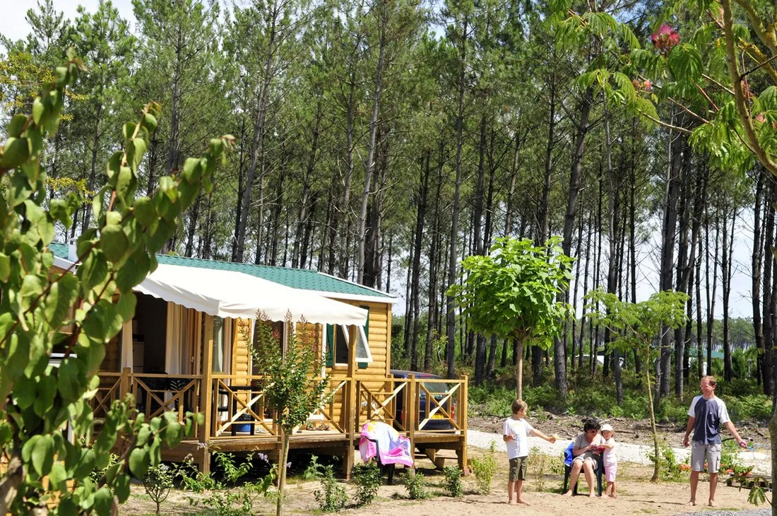 camping-le-clown-ocean-tosse-me2ha