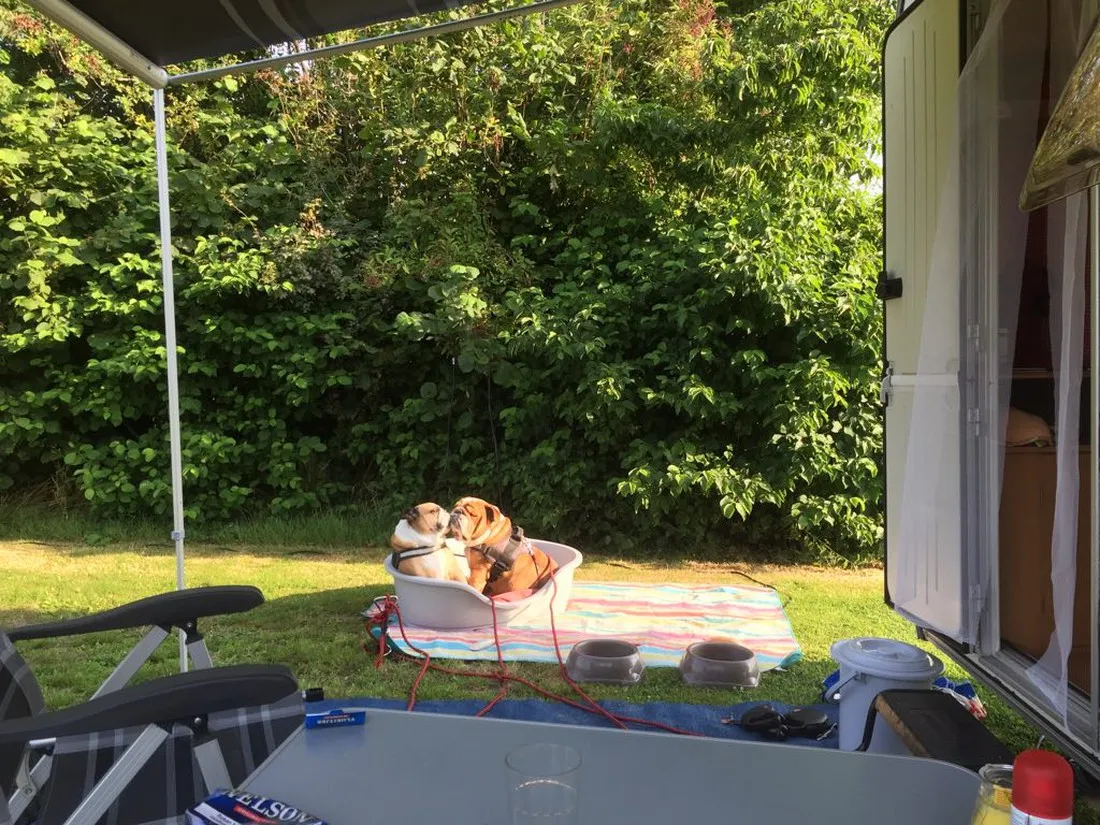 camping-de-blikvaart-sint-annaparochie-h4v49