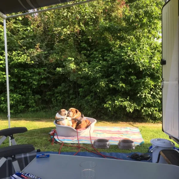 camping-de-blikvaart-sint-annaparochie-h4v49