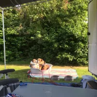camping-de-blikvaart-sint-annaparochie-h4v49