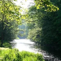 campingplatz-auenland-lahntalbrungershausen-ectgd