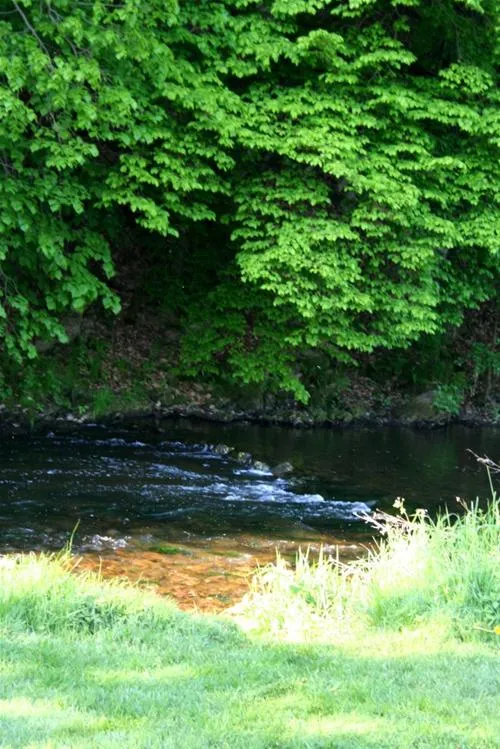 campingplatz-auenland-lahntalbrungershausen-ewoka